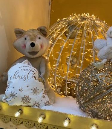 PHOTO-2022-11-14-11-34-13_4