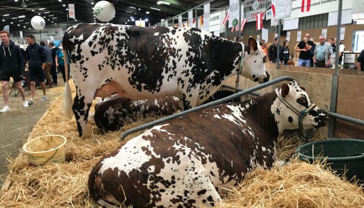 ce043f77-69df-499c-a675-6ca91fdb258b