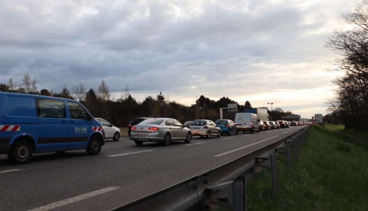 IMG_2442-1536×1024-1