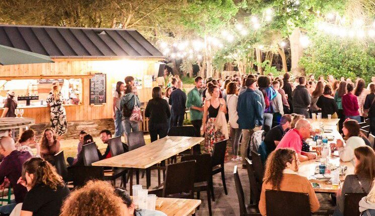 342505200_206119212156181_2972386852816602426_n-1