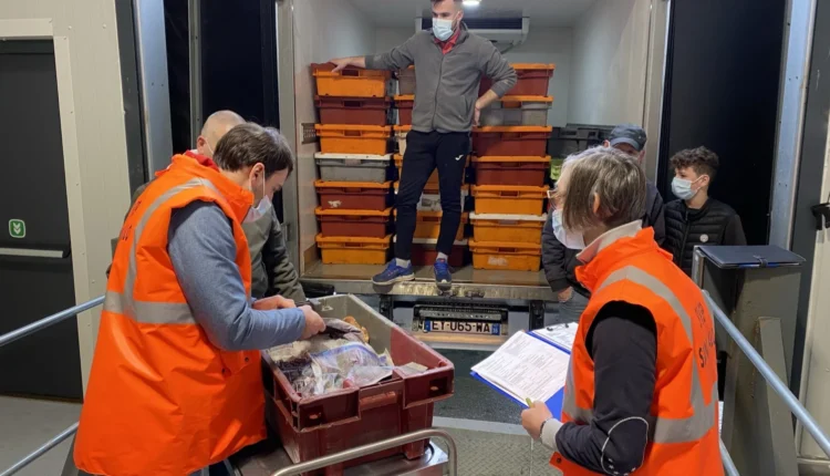 05151420210116_sivep_brexit_7-1536×864