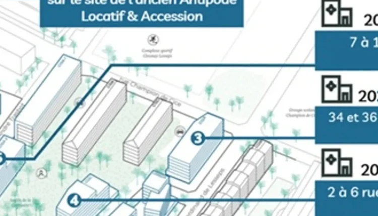 image-1.jpg-1200×1200-cropped